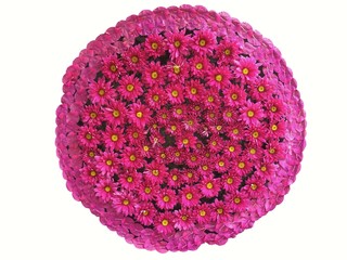 Close up of purple chrysanthemums on the water.