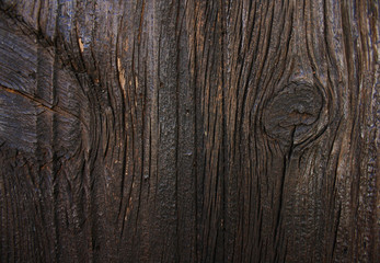 texture of dark wood doors