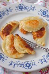 Piroggen
