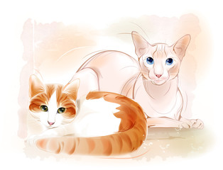 Couple of cats on the watercolor background. Ginger cat and sphi