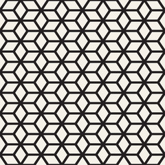 Trendy Monochrome Line Lattice. Vector Seamless Black and White Pattern.