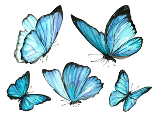 A set of blue watercolor butterfly