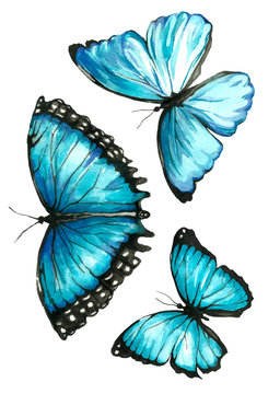 A set of blue watercolor painted butterfly in hand
