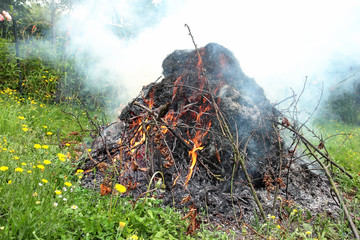 Feu de jardin