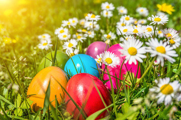 Fototapeta na wymiar Colorful Easter eggs in grass with daisy flowers