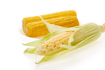 Fresh and boiled ears of corn. .