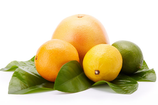 Different ripe citrus fruit.
