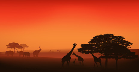 african wildlife editable vector illustration - savannah at sunset - obrazy, fototapety, plakaty
