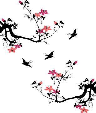 tree branch with birds