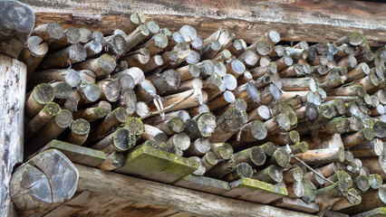 Brennholz © familie-eisenlohr.de