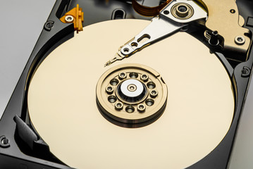 disassembled computer hard disk gold color closeup isolated