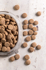 pets food on the floor