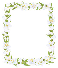 Obraz na płótnie Canvas Vector floral frame.