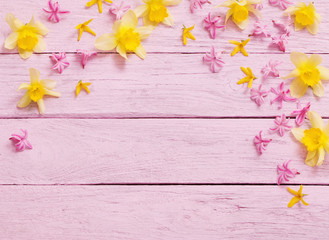 pink flowers on pink wooden background