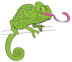 chameleon - picture drawing on tablet