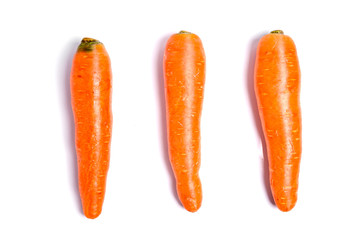 carrot isolated