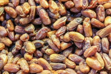 Obraz premium Fruits of the date palm (Phoenix dactylifera)