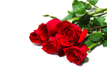 Bunch of red rose on white background, valentine day concept