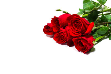 Bunch of red rose on white background, valentine day concept