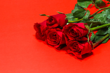 Bunch of red rose on red background, valentine day concept