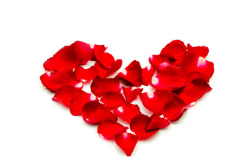 Leaf of red rose in heart shape on white background, valentine day concept