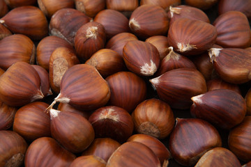 chestnuts background many ripe heap of masses big tasty sea