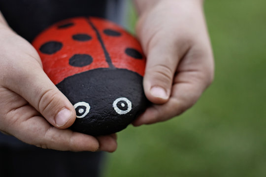 Handmade ladybird made from a painted stone