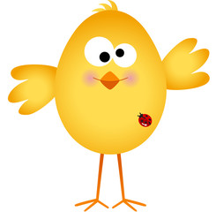 Funny egg chick cartoon