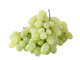 cluster of grapes
