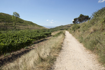 Road to Santiago from Los Arcos to Logroño