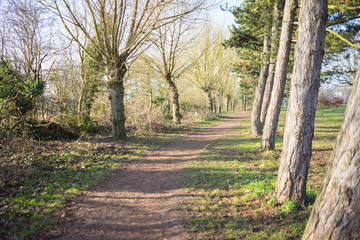 Fototapeta premium Countryside in England winter to summer