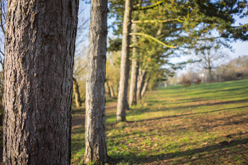 Countryside in England winter to summer