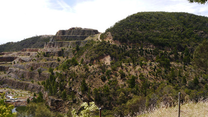 Fototapeta na wymiar beautiful hills with eucalyptus trees in the suburbs of Adelaide, South Australia in January 2017