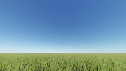 Green grass field and bright blue sky 3D rendering