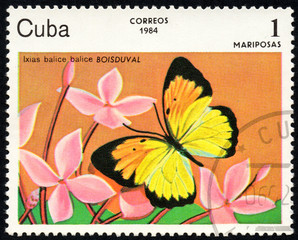 UKRAINE - CIRCA 2017: A stamp printed in Cuba, shows image of a butterfly Ixias balice balice BOISDUVAL close-up, circa 1984
