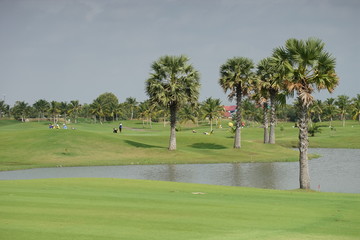 Obraz premium Golf course design created from harming natural resources, as well as many talented golfers.
