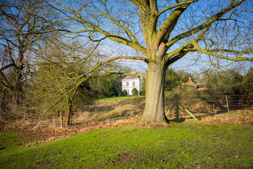 Obraz premium Countryside in the winter