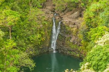 Foto op Canvas Scenic Maui Waterfall © equigini