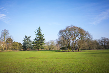 Fototapeta premium Countryside in the winter