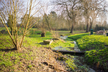 Countryside in the winter