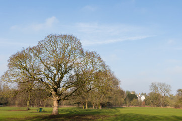 Obraz premium Countryside in the winter