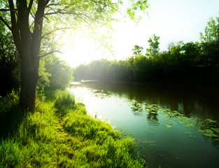 Fototapeta na wymiar Morning on the river