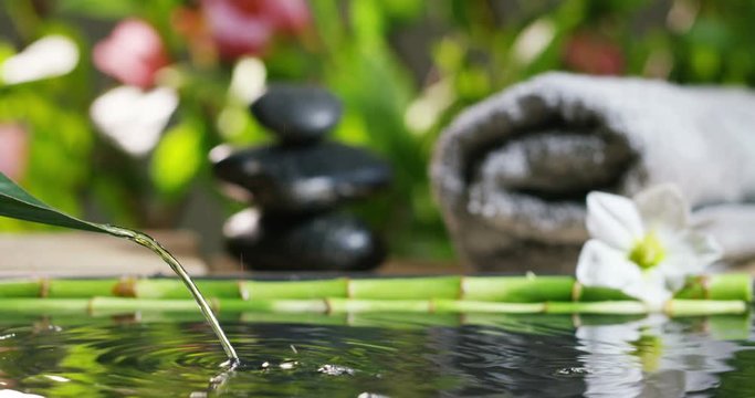 At a spa or health club, dropping a pure water drop from a leaf. background lavender scented environment. Concept: relaxation, wellness, body care, spa, nature, and aromatherapy and scents
