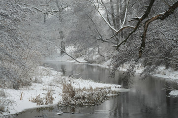 Zimą nad rzeką © Tomek Kiecana
