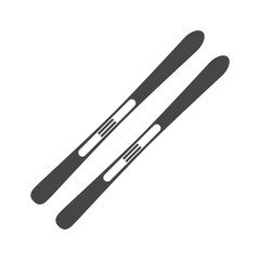 Ski icon. Vector illustration