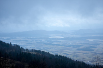 Obraz premium mysterious forest landscape