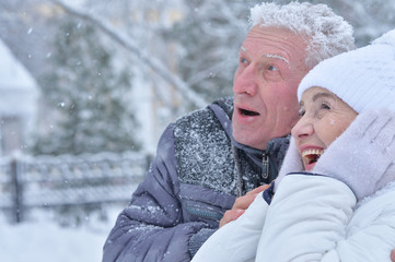 Elderly couple in winter