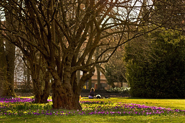 Frühlingserwachen im Park