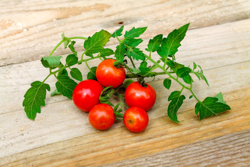 Fresh cherry tomatoes on the wood background
