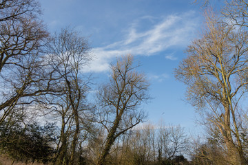 Fototapeta premium Autumn time in the countryside
